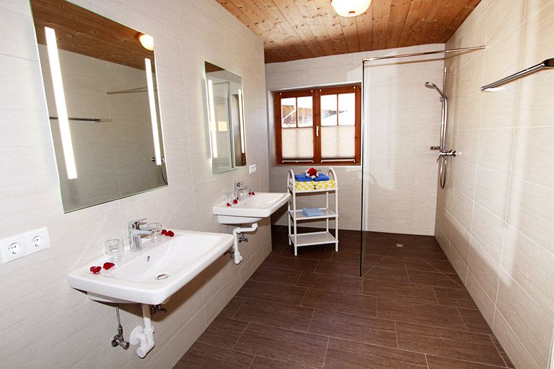 Bogstlhof, Achenkirch, Bauernhof, Urlaub am Bauernhof, Christlum Skigebiet, Appartement, Ferienwohnung, Enzian