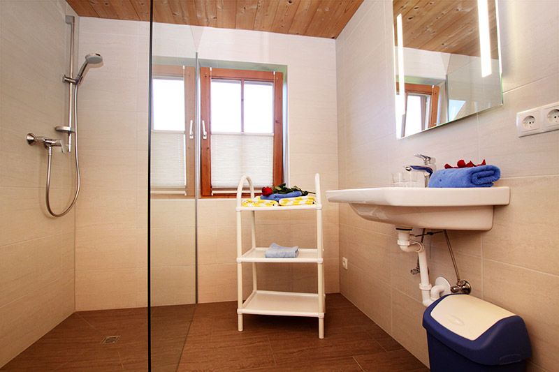 Bogstlhof, Achenkirch, Bauernhof, Urlaub am Bauernhof, Christlum Skigebiet, Appartement, Ferienwohnung, Jasmin
